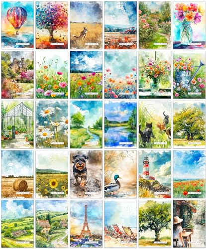 the lazy panda card company 30 diversi biglietti di ringraziamento assortiti luminosi e divertenti con buste (biglietti di ringraziamento)