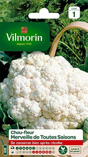 Vilmorin 3353141 Chou Fleur Merveille, Blanc, 90 x 2 x 140 cm
