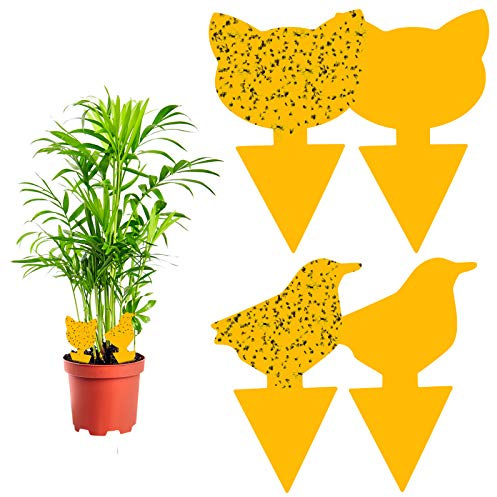 Autocollant Jaune Plante, 60pcs Pièges Engluées Autocollants Colle Double-Face Étanche Jaunes Attrape Mouches Pucerons Blanches, Parfait Contre la vermine pour Jardin Plante Fleur Fruits (2 Formes)