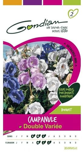 Gondian - Campanule Double variée