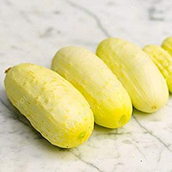 seedsown 100Pcs Zitrone Gurke-Samen Seltene Gemüsesamen für Hausgarten gut für Körper Garten Pflanzen Topf Bio-Gemüse Gurkensamen
