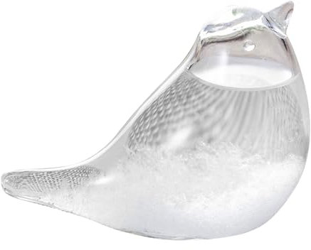 Botella de cristal con predicción meteorológica de Storm Glass, pronosticador del tiempo, vidrio de tormenta, barómetro de tormenta, vidrio meteorológico, decoración de pájaros para mesa, vidrio de ba