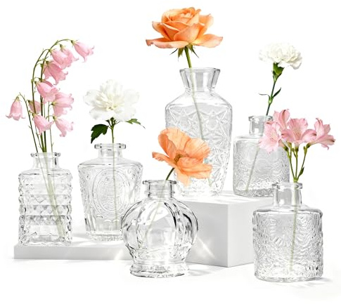Der Rose 6 Pack Glass Bud Vase Set, Small Clear Flower Vase for Centerpieces in Bulk, Mini Vases for Home,Table Decoration and Wedding Decor