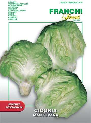 Semi Cicoria Mantovana Franchi Sementi 10g