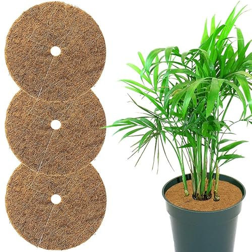 VIRSUS Disco pacciamatura per Piante 4653, Diametro 35 cm, in Fibra di Cocco Biodegradabile, Protezione antigelo Erbacce permeabile all'Acqua per Piante, Giardino Orto e Piante in vasi (3)
