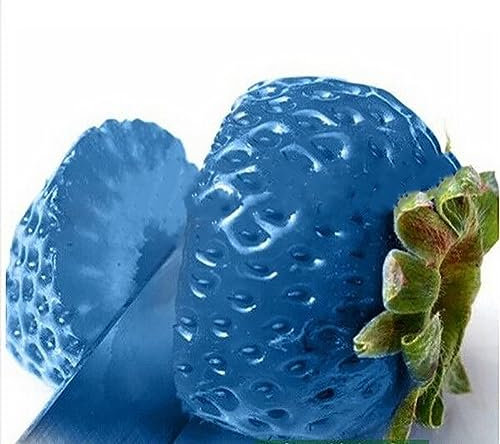 100 Unids Semillas de Fresa Nutritivas Deliciosas Semillas de Frutas y Verduras de Colores Raros para Plantar en el Jardín Azul