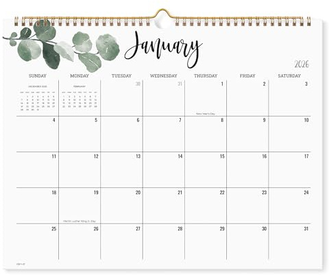Cabbrix 2026 Monthly Wall Calendar, Monthly Calendar from January 2026 to December 2026, Home Schooling Planner for Famialy and School, Wirebound, Large, 15 x 12 Inches