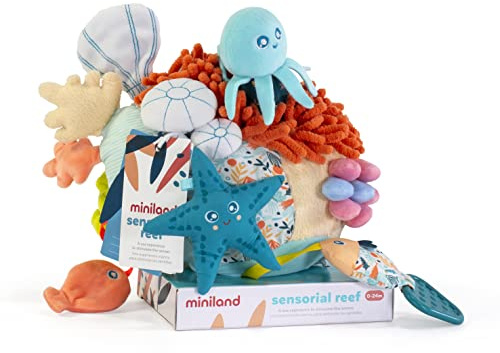 Miniland Centro attività per Neonati | Stimolazione sensoriale Marina con Texture | Massaggiagengive | Sonaglio Rimovibile e Suoni per Lo Sviluppo Infantile | Sensorial Reef