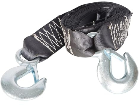 labwork 2 Inch x 20 Feet Boat Trailer Winch Strap Double Hook Replacement for Ranger Boats 9642019