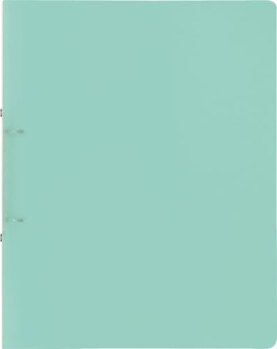 BRUNNEN Ringbuch FACT!pp mint