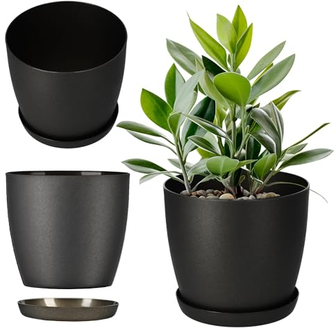 KADAX Flowerpot, fioriera con sottobicchieri, secchio di fiori rotondi in plastica, pentola Matt per cactus, felce, trama luccicante per balcone, appartamento e terrazza (⌀ 30 cm, antracite)