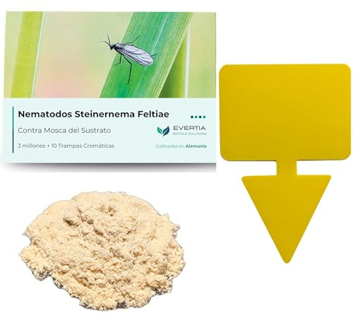 EVERTIA Nematodos contra Mosca del Sustrato, Mosquitos Plantas Interior, 3 Millones + 10 Trampas Amarillas. Kit Completo contra los Mosquitos de los Hongos, Moscas del Mantillo
