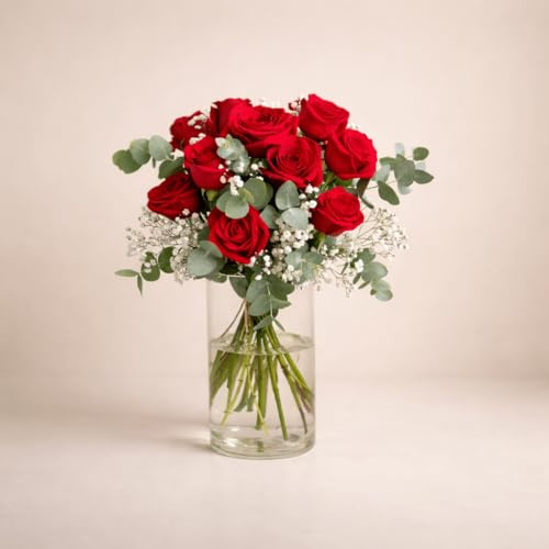 FLORES SOLIDARIAS - Ramos de Flores Naturales Rosas Rojas Paniculata - Ramo Fresco de Calidad para Regalo, San Valentín, Día de la Madre, Bodas, Aniversarios, Cumpleaños y Decoración del Hogar