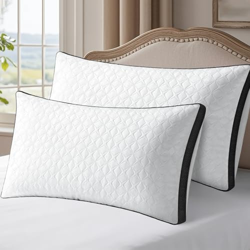 TINCOOL Kissen Kopfkissen 40x80 2er Set, Seitenschläferkissen Nackenkissen für Bett & Sofa, weich & stützend, Atmungsaktive &Waschbar für Allergiker auch als Sitzkissen Sofakissen lesekissen