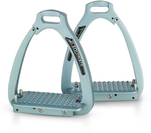 Equinate Florence Lot de 2 étriers de sécurité en aluminium léger avec bras de sécurité et surface antidérapante pour adultes et enfants Bleu gris 12 cm