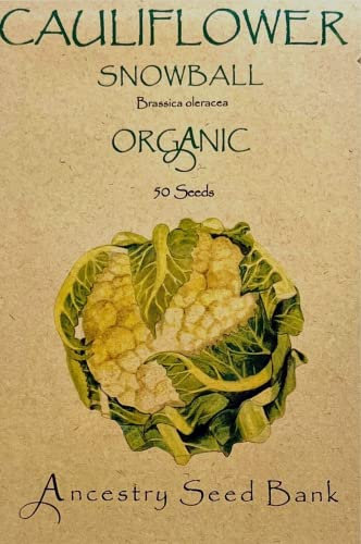 Organic Cauliflower ❁ Snowball ❁ 50 Seeds Heirloom - Non GMO