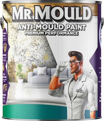 Mr Mould Anti Damp Paint | Damp Seal Prevent Build-up of Mildew | Damp Proof Paint for Wall and Ceiling | Anti Condensation (White, 5 Liter)