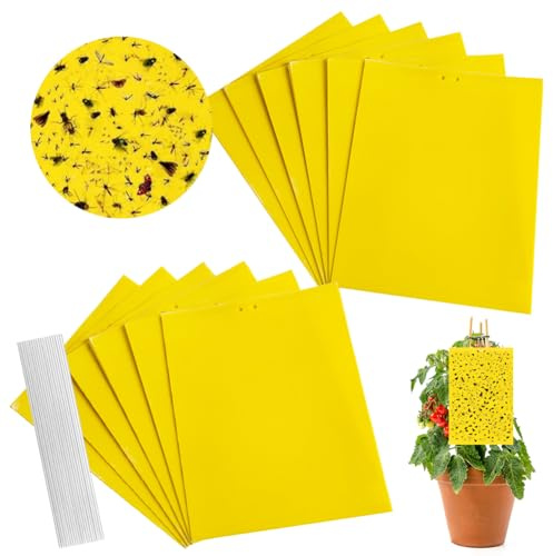 Trampas de Insectos de Doble Cara, Trampas Pegajosas Papeles Pegajosos Amarillos para Moscas, Pulgones, Mineros de Hojas, Polillas - 50 Piezas