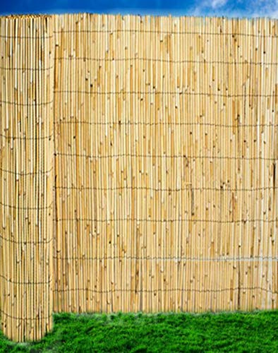 Abaseen Natural Reed Screening Garden Fence Peeled Roll Screen Wind Sun Protractor Privacy Border (1.2m x 4m)