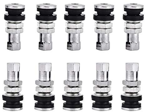 Valve de Pneu à Vis en Métal TR161 avec Capuchons Anti-poussière, Lot de 10 pour Pneus de Camion et de Moto Tiges de Valve en Métal pour Les Mécaniciens et Les Passionnés