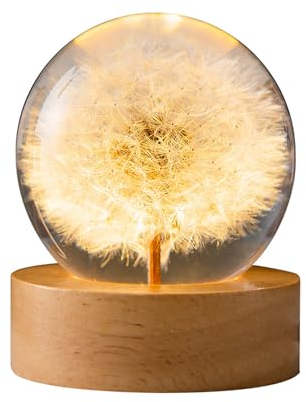Flower Crystal Ball Night Light, 6CM Glass Ball Lamp with Wooden with LED Light Base, USB Powered Flower Specimen Night Lamp with Stand (Dandelion)