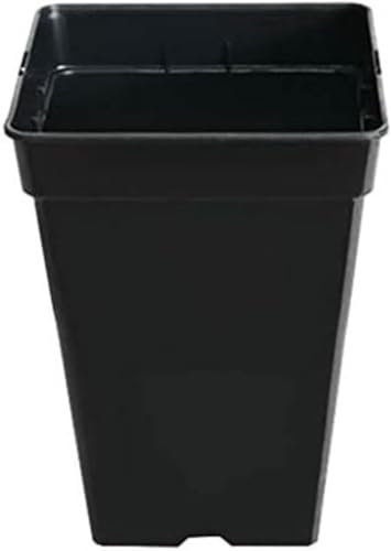 GROWMANIA Pack 10 Macetas Cuadradas para Plantas Negra 3L - Diez Maceteros de Plástico para Flores 14,5x14,5x18,5 cm - Base 10,5x10,5