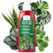 LERAVA® Fertilizante plantas verdes [LIQUIDO] - 4 pzs. Abono plantas verdes exterior, interior y en maceta - Mejora la Vitalidad - Abono liquido para plantas con microelementos - plantas exterior