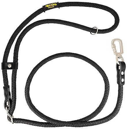 Laisse pour Chien, Mains Libres, Réglable, Fabriquée en Espagne, pour Petits, Moyens et Grands Chiens. Noir & Noir.