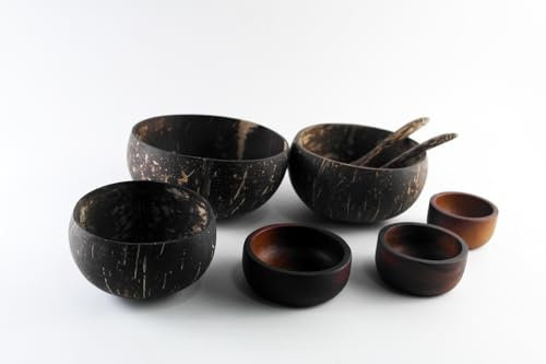 IAMSIAMZ Bols en noix de coco naturelle : ustensiles de cuisine fabriqués à la main et durables avec cuillères en bois (lot de 3 bols en noix de coco + 3 bols à tremper)