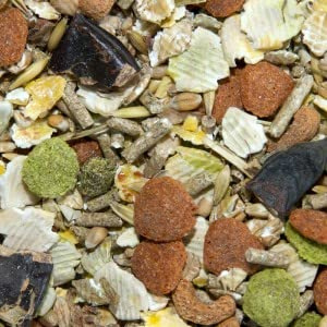 Bamfords Gastro Guinea Pig Food With Added Soya 15kg