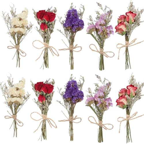 Mini torkad blombukett, 10-pack naturliga förgätmigej för festdekoration (Förgätmigej)