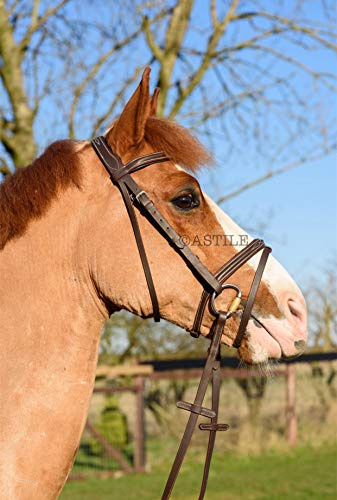 Astile Leather Comfort Horse Bridle With Flash Noseband Hand Stitched Design Black Brown (PONY, BROWN)