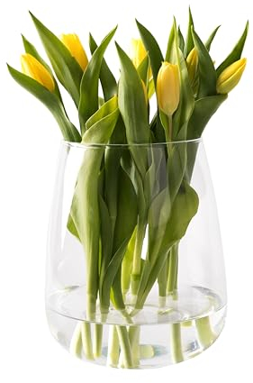 Giessle® [ Große ] Glasvase, Vase für z.B. Trockenblumen & Tulpen, Tischvase, Tulpenvase, Pampasgras, Rosen, Blumenvase rund bauchig