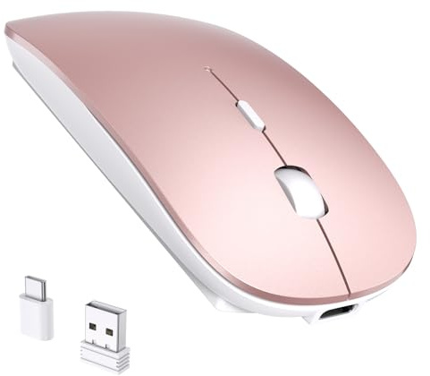 RaceGT Ratón Inalámbrico Recargable USB C+USB A, Ratón Ergonómico Inalámbrico Silencioso, 2.4G Ultra Delgado con 2 Receptores para PC, Mac, MacBook Air/Pro, iPad