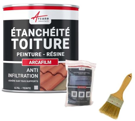 Réparation, étanchéité, tuile, gouttière, cheneau, trou, fissure, souche, cheminée, ardoise : Arcafilm pack - 0.75 L (jusqu'à 0.5 m²) Gris - ARCANE INDUSTRIES