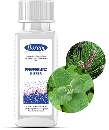 Florage Infusion de sauna 100 ml - Menthe poivrée et pin - 50 ans d'expérience en tant que fabricant allemand de parfums - Infusion à haut rendement pour le sauna, de nombreux parfums d'infusion,