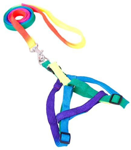 KJHBV Imbracatura per Cuccioli e Gatti in Nylon Regolabile con Guinzaglio Colorato 1.0 Cm, Facile da Indossare Passeggiate Quotidiane Colore Casuale