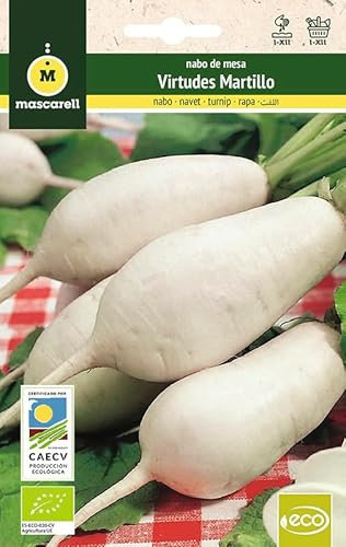Mascarell Semillas, NABO DE MESA VIRTUDES MARTILLO, Semillas Ecológicas, 5 Gramos