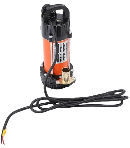Eujgoov 300W Tiefbrunnen Pumpe Edelstahl Tauch Pumpe 72ft Kopf 18GPM 23ft Kabel Kupfer Motor (DC12V)