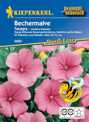 Kiepenkerl Profi-Line Bechermalvensamen Tanagra Rosa - Blumensamen für üppige Bauerngartenblumen, Nahrungsquelle für Nützlinge, Ideal für Rabatten & Sträuße