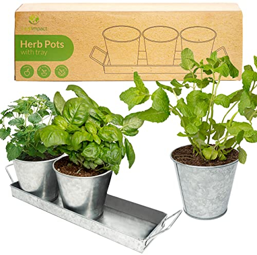 Herb Planter Indoor | Grow Fresh Herbs at Home | Herb Pots for Kitchen & Windowsill | Kitchen Herb Garden | Indoor Herb Planter | Includes Drain Hole | Garden Pots for Basil, Mint, Parsley and More