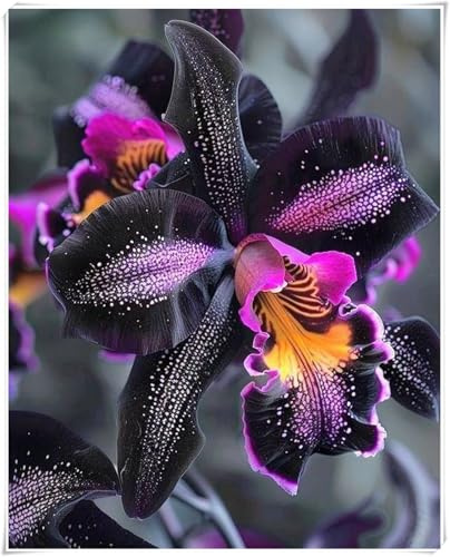 Iris Bulbs for Planting, Excellent Display, Bearded Iris Bulbs,Wedding Flowers, Natural Organic, Cut Flowers, Good for Containers-6 Bulbs-a