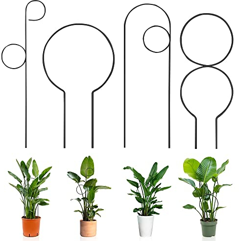 MOERAE 4 Stück Rankhilfe für Zimmerpflanzen, Garten Pflanzenstütze Rankhilfe aus Metall, Pflanzenunterstützung für Topfpflanzen, Dekorative Spaliere Pflanzenklammern Pflanzgitter Spalier (Schwarz)