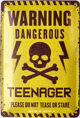 DODINO 20 x 30 cm retro plåtskylt varning DANGEROUS tonåring pojkar & flickor tonåring dörrskylt presentidé rum citat gåva idé dörr dekoration födelsedag