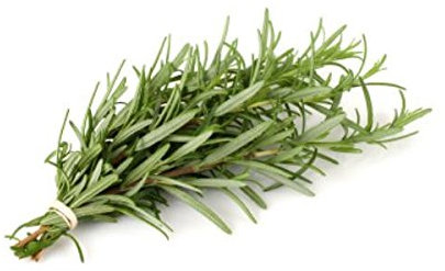 55 mg di romarin biologique certifié semi ~ 40 Conte Perenne Santoreggia Herbe: grani