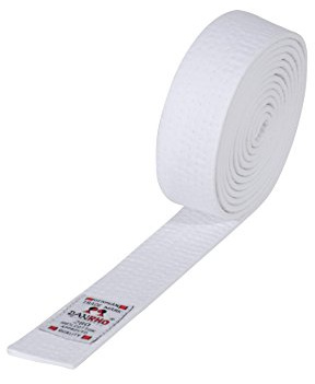 Danrho Taekwondo Judo Ju Jutsu Karate Gürtel 4 cm einfarbig