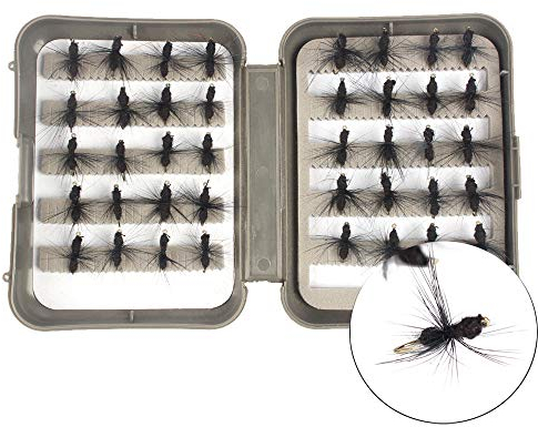 NEWSHOT Fliegenfischen Fliegen, 40 Trockenfliegen Ameisenköder Kit mit Box für Forellen Döbel