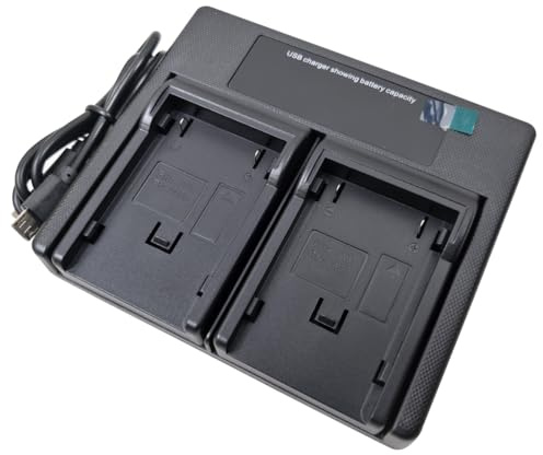 USB Dual Akku Ladegerät für JVC BN-V408 BN-V408U BN-V416 BN-V428 BN-V416U BN-V428U GR-DVL815U DVL820U GR-DV GR-DVL Series Kamera