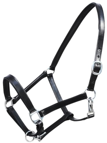 Home Outdoor Otros- Collar de piel auténtica, cabestro estable, ajustable, color negro