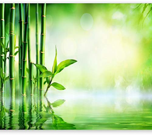 murando Fotomurales 400x280 cm XXL Papel pintado tejido no tejido Decoración de Pared decorativos Murales moderna Diseno Fotográfico Bambu Naturaleza verde b-B-0164-a-a